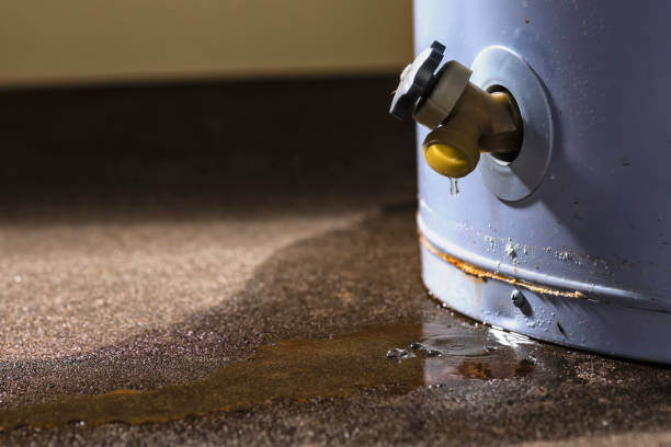 Best Mold removal after water damage  in East Sonora, CA
