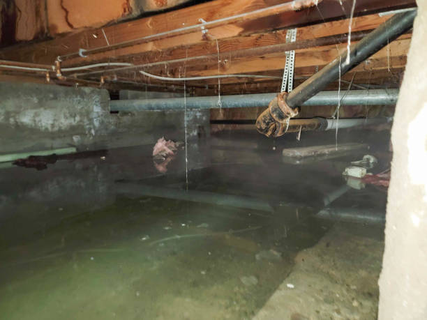 Best Water damage restoration insurance claims  in East Sonora, CA