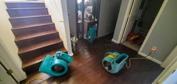 Best Flood restoration services  in East Sonora, CA