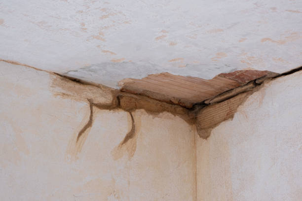 Best Flood damage cleanup  in East Sonora, CA