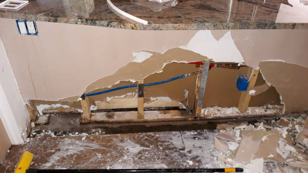 Best Ceiling water damage repair  in East Sonora, CA