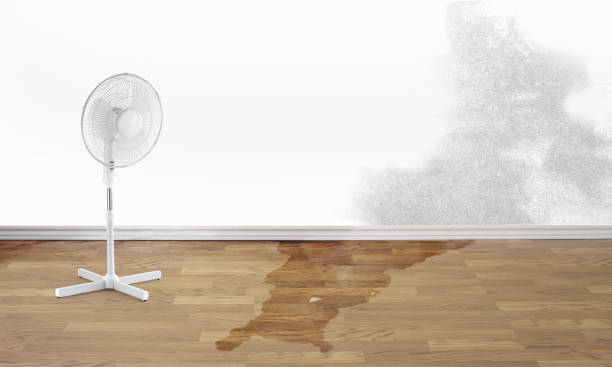 , CA Water damage restoration Company