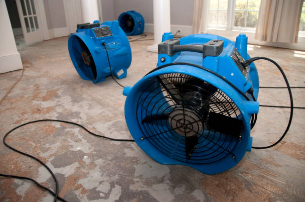 Local water damage restoration in CA