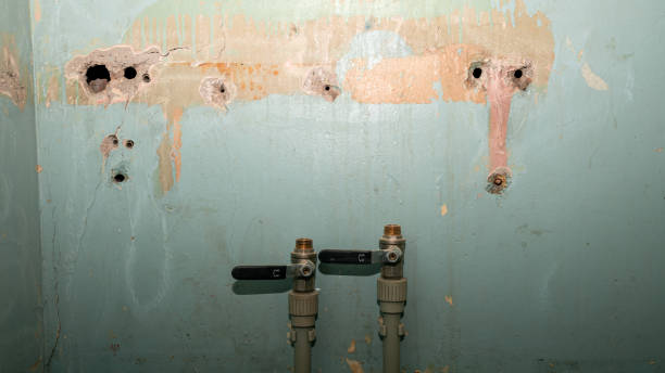 Best Water damage restoration near me  in East Sonora, CA