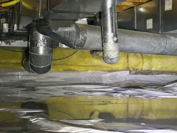Best Water damage restoration experts  in East Sonora, CA