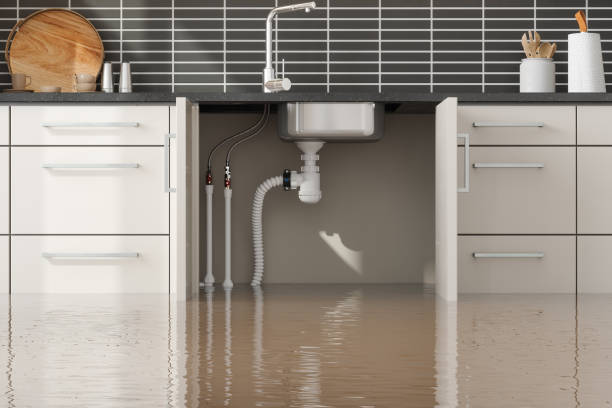 Best 24/7 water damage repair  in East Sonora, CA