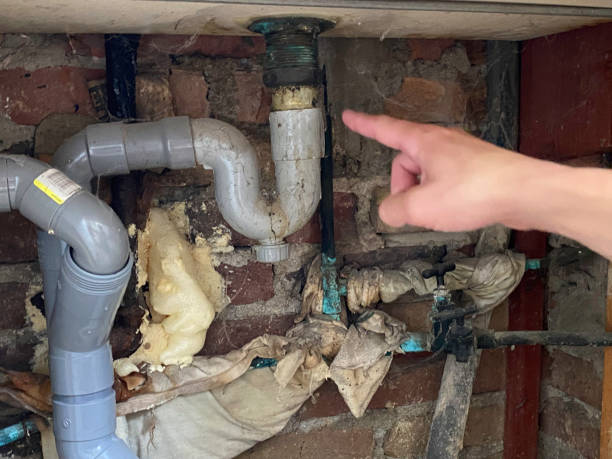 Best Fire Damage Restoration  in East Sonora, CA