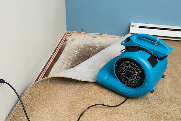 Best Water damage mitigation services  in East Sonora, CA